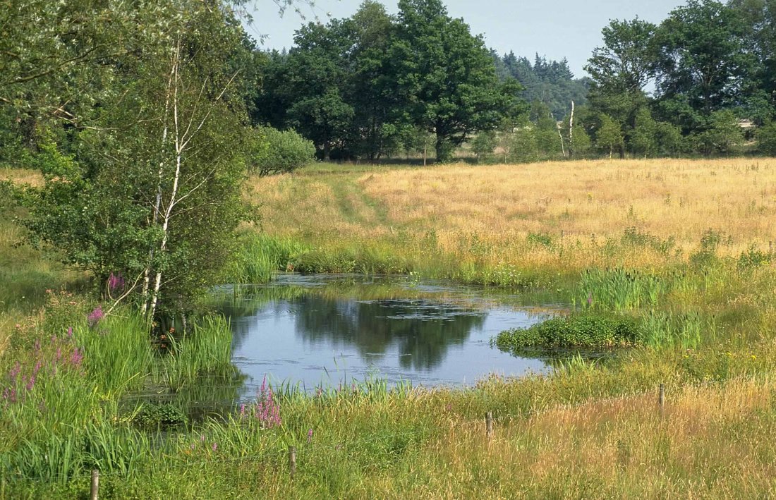 Natuur en ecologische projecten